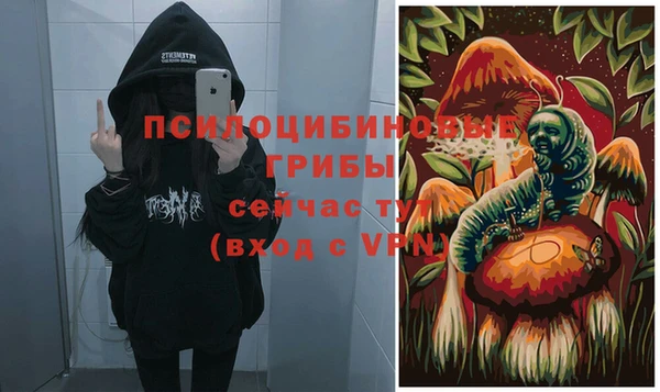 бошки Няндома