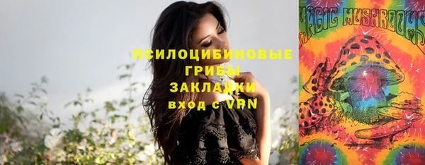 бутират Осинники